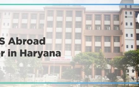 Best MBBS Abroad Counsellor in Haryana – Radical Education's Trusted Expertise