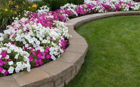 Expert Care for Vibrant and Healthy Flower Displays