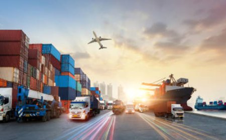 Transport Management System vs WMS: Which Does Your Business Really Need?