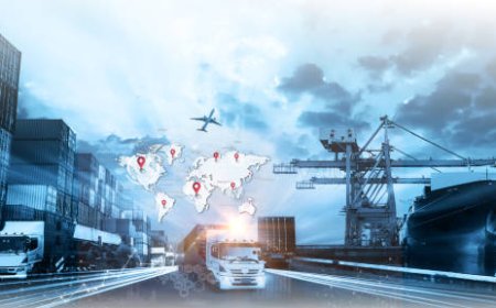 Discover the Future of Warehousing with Top WMS Providers in the USA