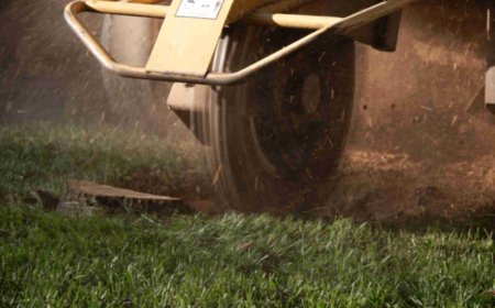 Stump Grinding: The Smart Way to Clear Out Tree Stumps