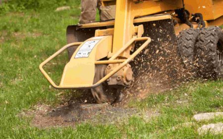 Stump Grinding: The Smart Way to Remove Tree Stumps for a Clean, Safe Yard