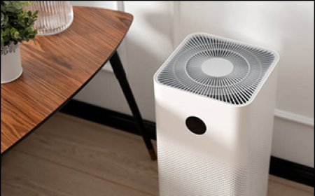 India Air Purifier Surge: Health, Technology, and Market Potential