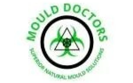 Top Warning Signs You Need a Mold Specialist Austin