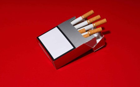 What Are Oryx Custom Boxes and Their Benefits?