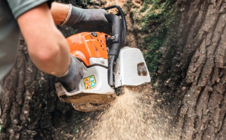 Transforming Land the Smart Way: How Forestry Mulching Services Are Redefining Land Clearing