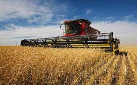 UK Farm Fuel: Powering British Agriculture