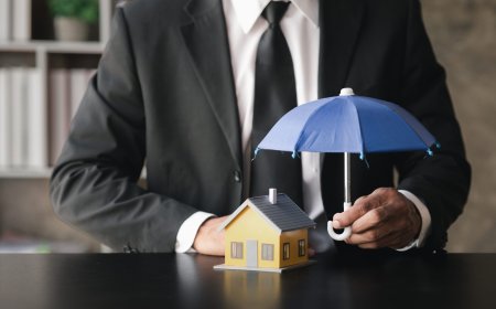 The Critical Role Of Public Insurance Adjusters In Navigating Complex Insurance Claims