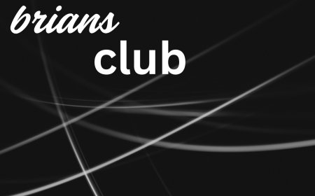 Briansclub: Unlocking Encrypted Crypto Transactions Safely