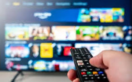 Streaming Success: Building a Sustainable Business as an IPTV Reseller with the Right Server