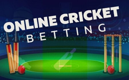 11xplay Review 2025: Everything You Need to Know About India’s Trusted Betting ID Platform