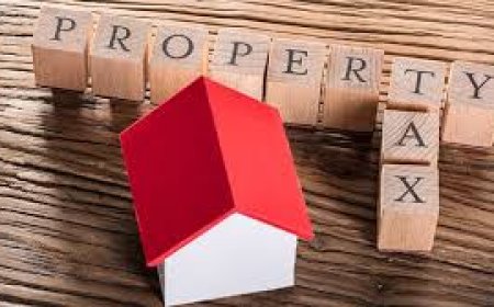 Importance of paying property tax in real estate