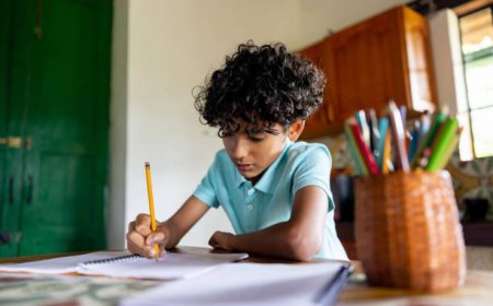 How Mentorship Assignment Help Can Improve Academic Performance and Career Readiness