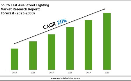 South East Asia Street Lighting Industry Analysis 2025–2030: Market Insights & Forecast
