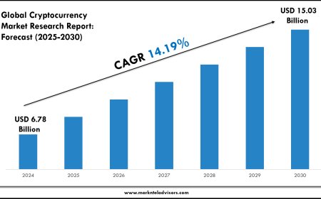 Cryptocurrency Market Size & Share 2030 Key Trends & Projections