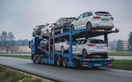 Experience Reliable Car Transport Without the Hassle