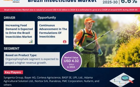 Brazil Insecticides Market to Witness 6.6% CAGR Growth Amid Rising Demand and Innovation