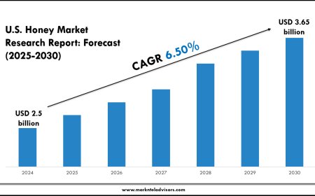 U.S. Honey Market Competitive Landscape Report