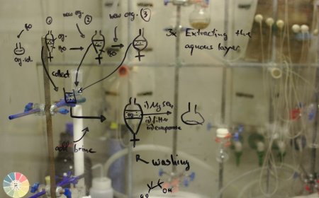 Exosomes for Cosmetics: The Future of Personalized, Sustainable Skincare