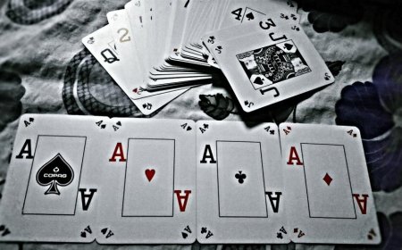 Reddy Book ID: Your Trusted Gateway to Online Sports Betting and Casino Gaming