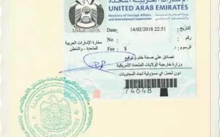 Understanding the Importance of Certificate Attestation in Dubai