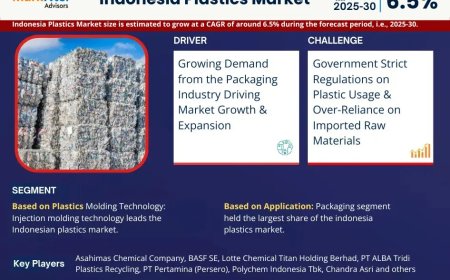 Indonesia Plastics Market to Witness 6.5% CAGR Growth Amid Rising Demand and Innovation