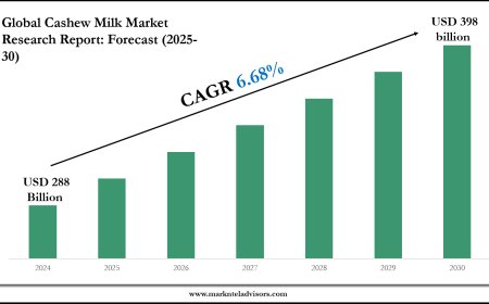 Cashew Milk Market Report 2025–2030: Demand, Value & Share Outlook