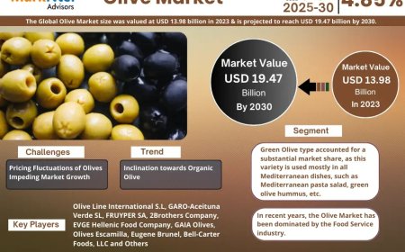 Olive Market to Witness 4.85% CAGR Growth Amid Rising Demand and Innovation
