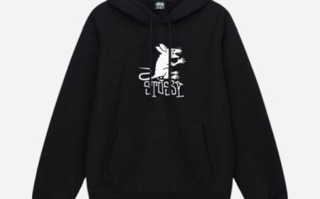 Official Stussy Hoods That Go Hard