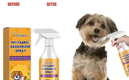 Eco-Friendly Pet Cleaning: Keep Your Home Clean & Your Pets Safe (The Natural Way)