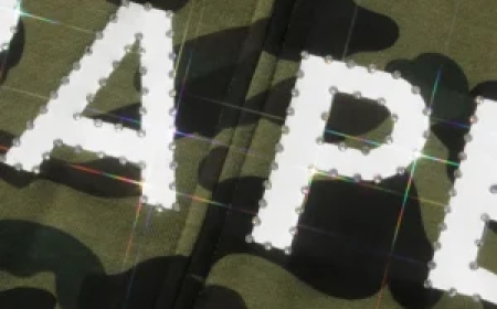 Bape Hoodie: A Symbol of Streetwear Luxury and Cultural Identity