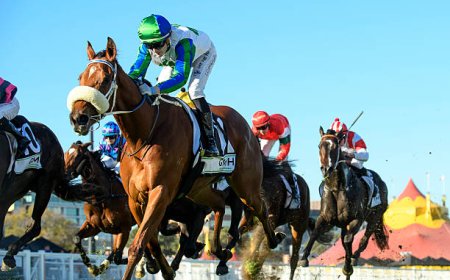 Top VicBet: Your Go-To Platform for Ultimate Betting Experience