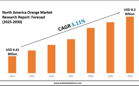 North America Orange Industry Trends Point to USD 8.2 Billion Market Size by 2030
