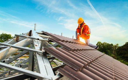 Which Shingle Roof Is Best for Your Climate and Budget?
