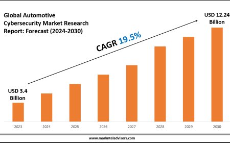 Automotive Cybersecurity Market Report 2024–2030: Demand, Value & Share Outlook