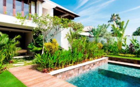 Hassle-Free Move-In and Move-Out Cleaning in Ibiza | ALIA Management Ibiza