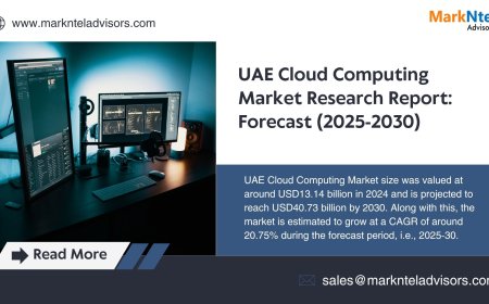 UAE Cloud Computing Market Companies, Scope and Forecast Overview 2030