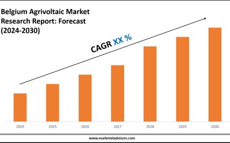 Belgium Agrivoltaic Market Volume, Trends and Growth Outlook Report 2030
