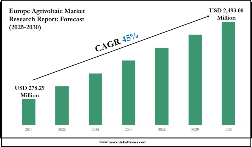 Europe Agrivoltaic Market Forecast 2025–2030: Key Players, Trends & Outlook