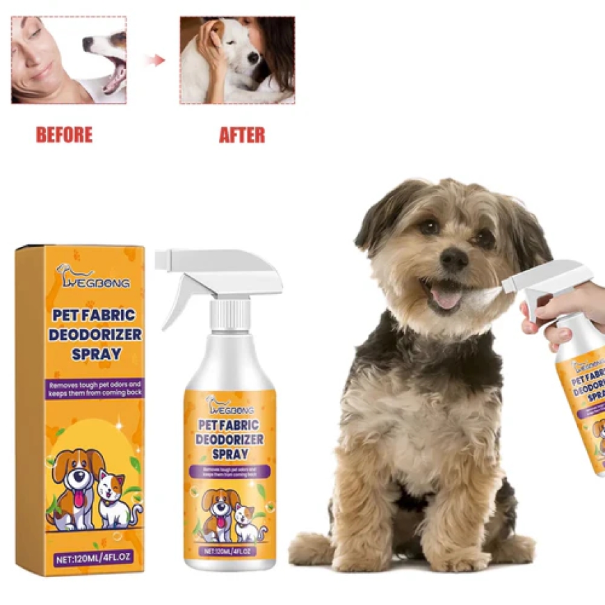 Eco-Friendly Pet Cleaning: Keep Your Home Clean & Your Pets Safe (The Natural Way)