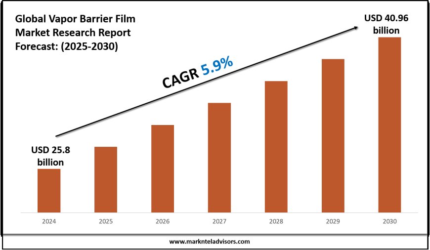 Strategic Insights on Vapor Barrier Film Market: Forecast, Size & Trends
